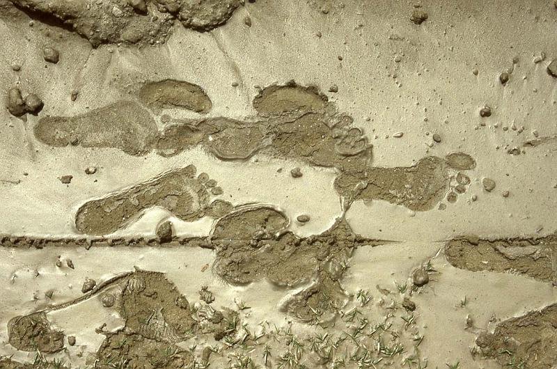RWT 0152 144-26 Nepal Footprints.jpg